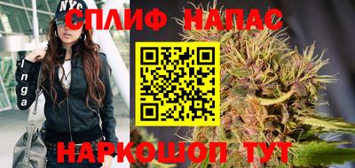 спиды Ставрополь