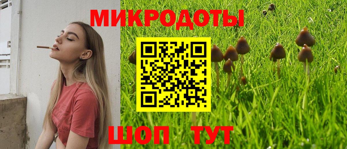 Галлюциногенные грибы Magic Shrooms Пугачёв