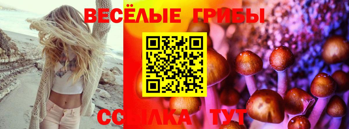 Пугачёв  Псилоцибиновые грибы Psilocybe  Вход с VPN 